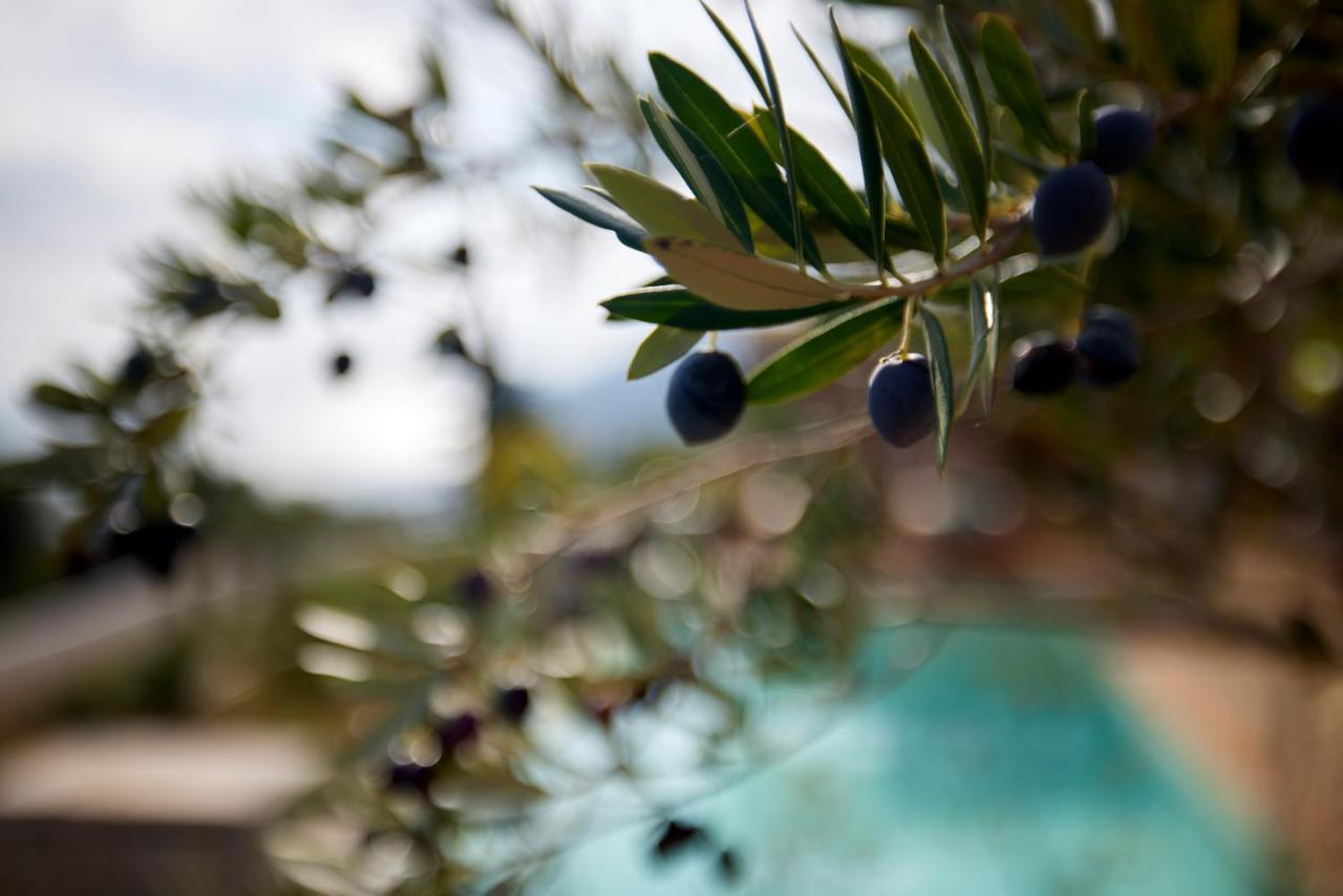 酒店 Angsana Corfu & Benitses (Corfu)